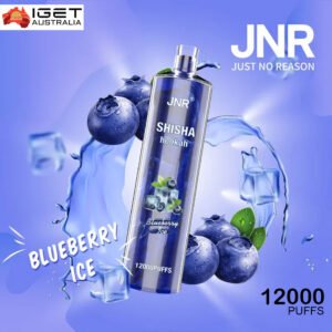 JNR SHISHA HOOKAH – BLUEBERRY ICE – 12000 PUFFS
