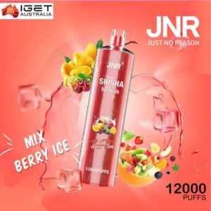 JNR SHISHA HOOKAH MIX BERRY ICE – 12000 PUFFS