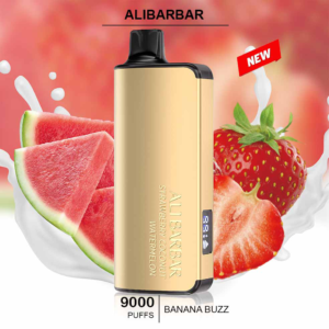 ALIBARBAR STWB COCONUT WATERMELON-9000 puffs